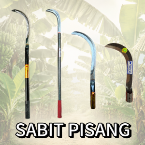 Sabit Pisang
